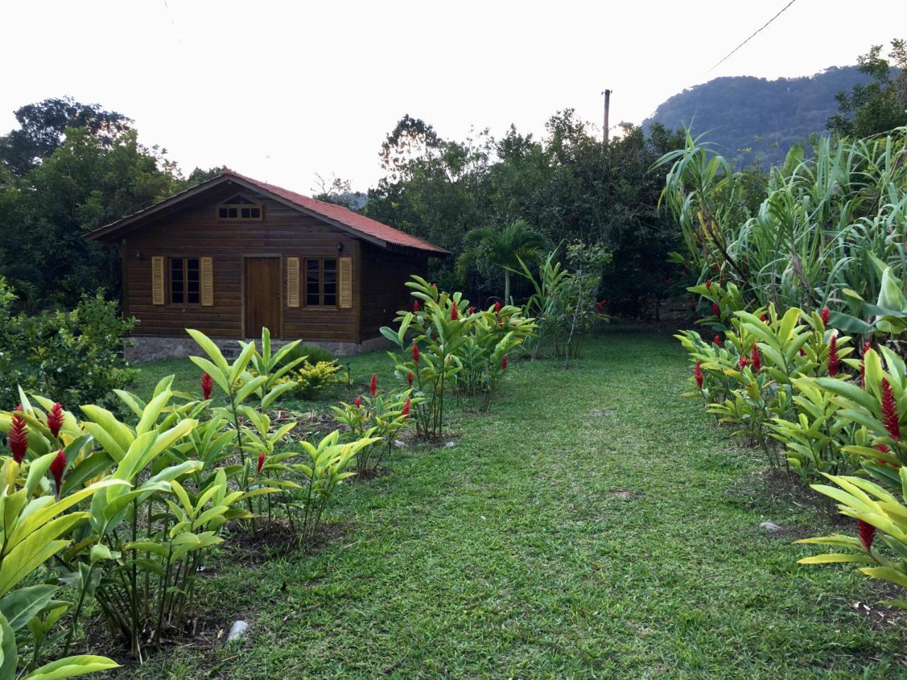 Hospedaje En El Lago San Pedro Sula Zewnętrze zdjęcie