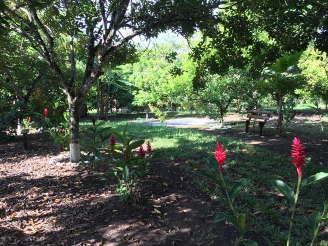 Hospedaje En El Lago San Pedro Sula Zewnętrze zdjęcie
