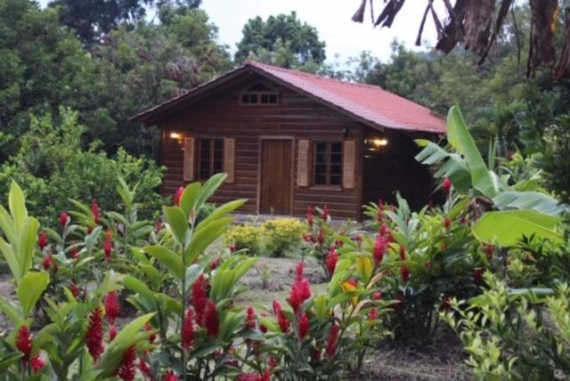 Hospedaje En El Lago San Pedro Sula Zewnętrze zdjęcie